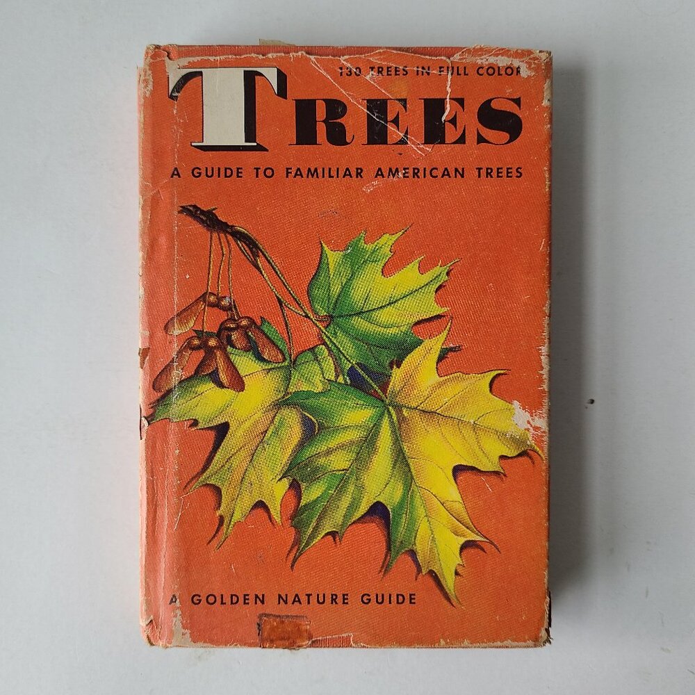 Vintage Book Golden Nature Guide Trees American Pocket in Color HCDJ FLAWS